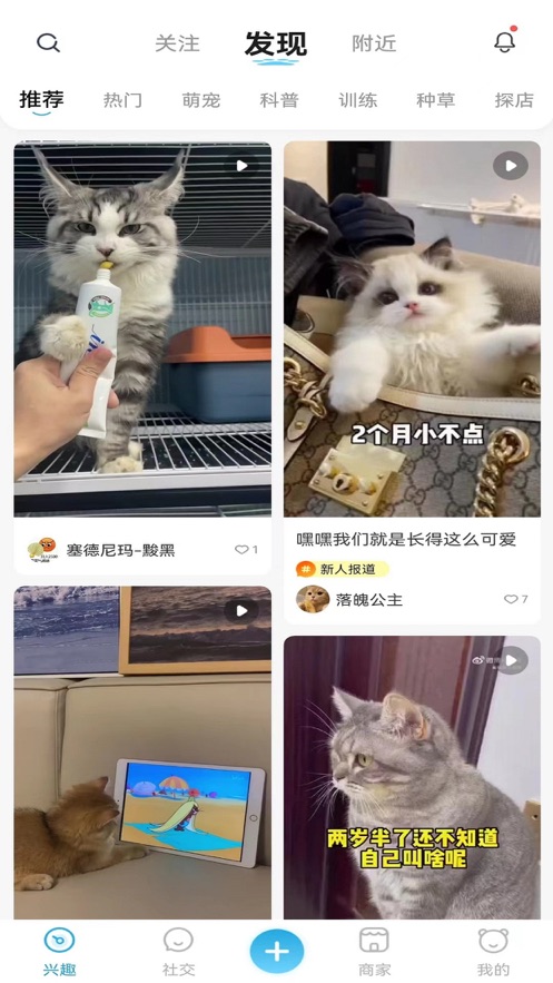 萌宠世界app苹果版v1.0手机版