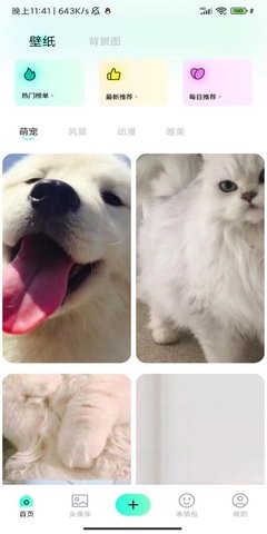 桃子壁纸app1.1最新版
