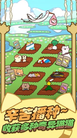 猫咪田园正版1.0安卓版