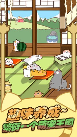 猫咪田园正版1.0安卓版