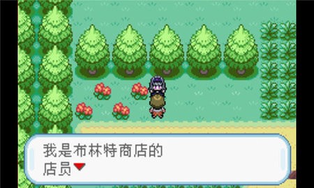 口袋妖怪火红手机版1.011.91MB