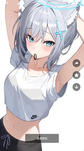 壁纸喵纯净版1.0.95安卓版
