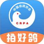 中国信鸽协会app