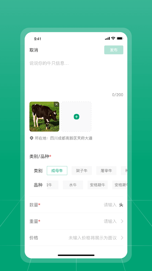 大肥牛软件1.0.3