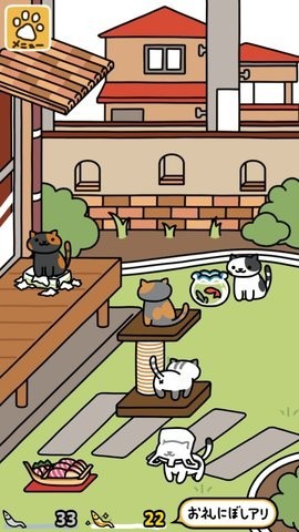 猫咪后院2破解版2024最新版