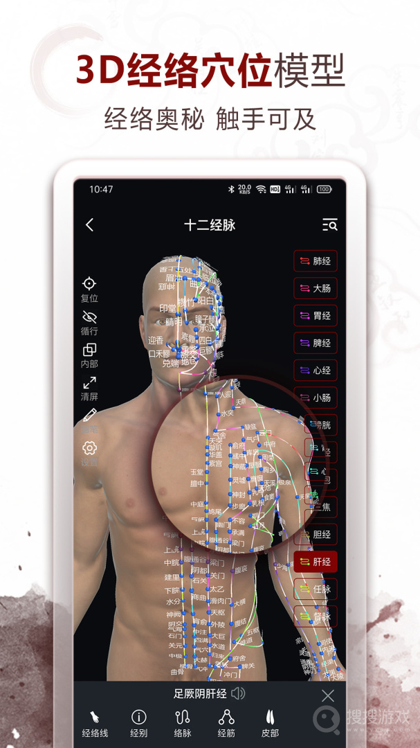 中医经络穴位app2.7.7