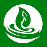 绿色金子app安装