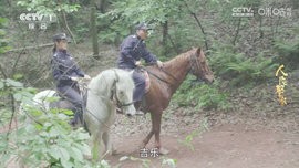 晨瑞电视2.2.2最新版