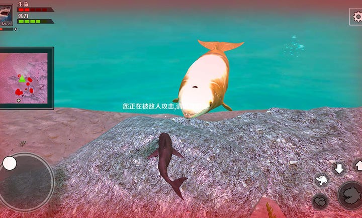 饥饿鲨鱼求生1.0.0安卓版