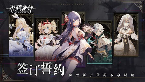 银鸦之梦b服手游0.0.2410安卓版