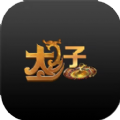 太子软件