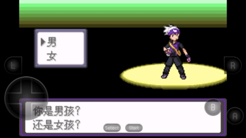 口袋妖怪漆黑的魅影5.0ex+bw版本5.0