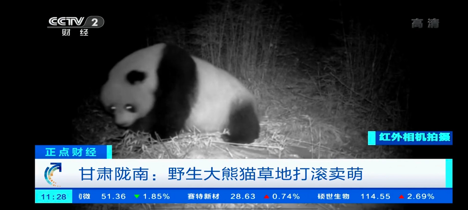 小小TV盒子版app盒子版app下载-小小TV盒子版手机apk免费下载v5.2.4