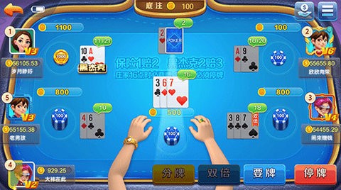 小金棋盘官网版最新版