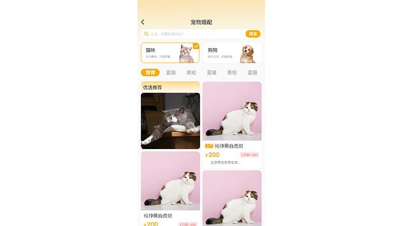 喵鑫球宠物app1.2.1