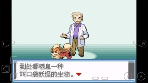 口袋妖怪永恒之炎手机版2024.04安卓版