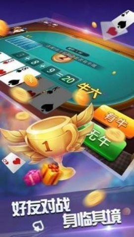飞牛棋牌官网2024最新版