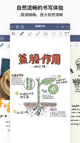GoodNotes软件100161安卓版