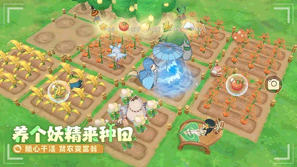 织梦森林官方正版1.0.24