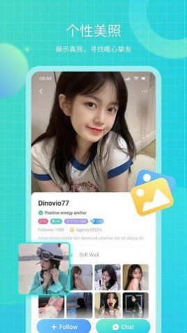 dino软件2.5.0