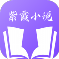 紫霞小说网站app安装