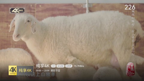 小飞电视tv版2.4.3最新版