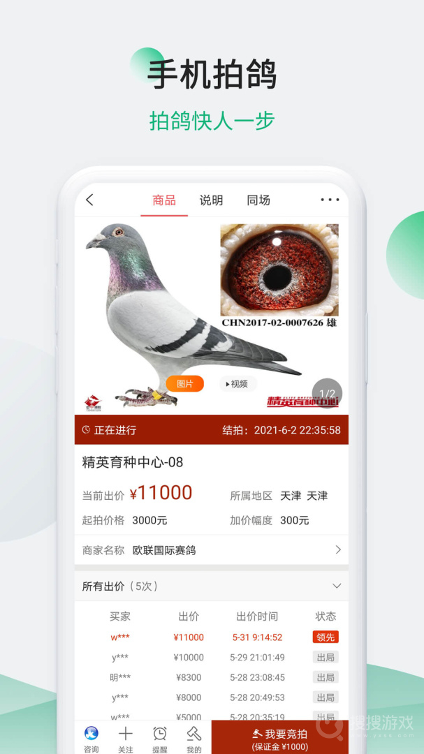 中国信鸽信息网app20241128
