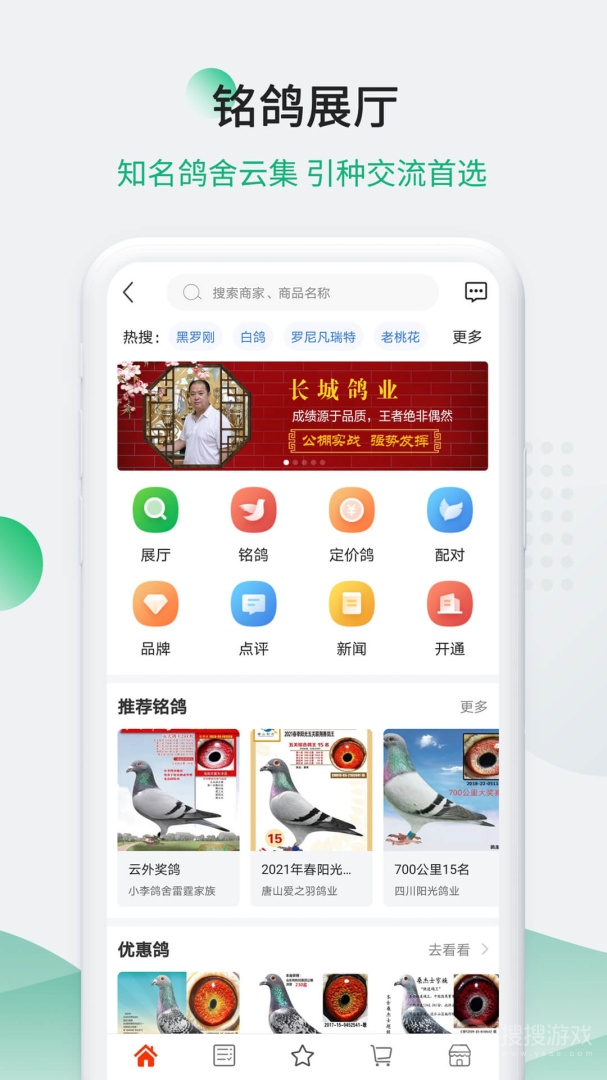 中国信鸽信息网app20241128