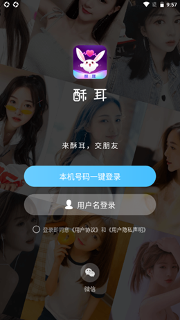 酥耳app安装