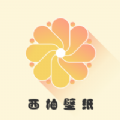 小小壁纸软件