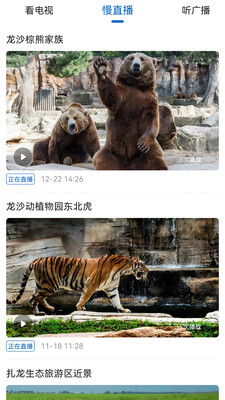 看齐新闻软件1.9.1