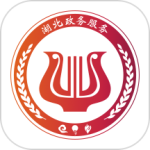 鄂汇办app