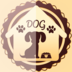 家有酷狗app