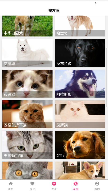宠友帮app1.6.0