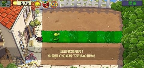 植物大战僵尸精华版1.0.1最新版