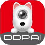 盯盯拍app