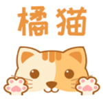 橘猫小说app
