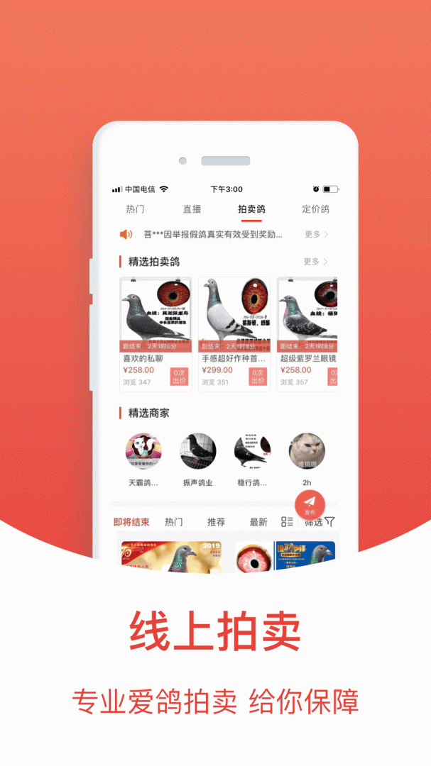 赛鸽头条app2.2.1.18