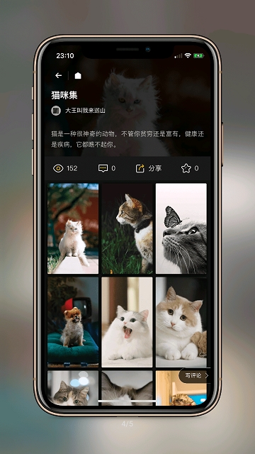 纸塘壁纸app1.0.0