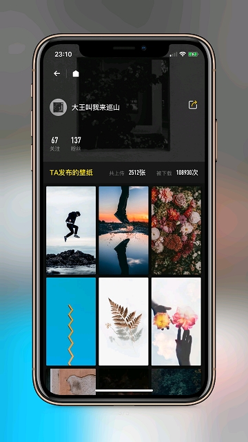 纸塘壁纸app1.0.0