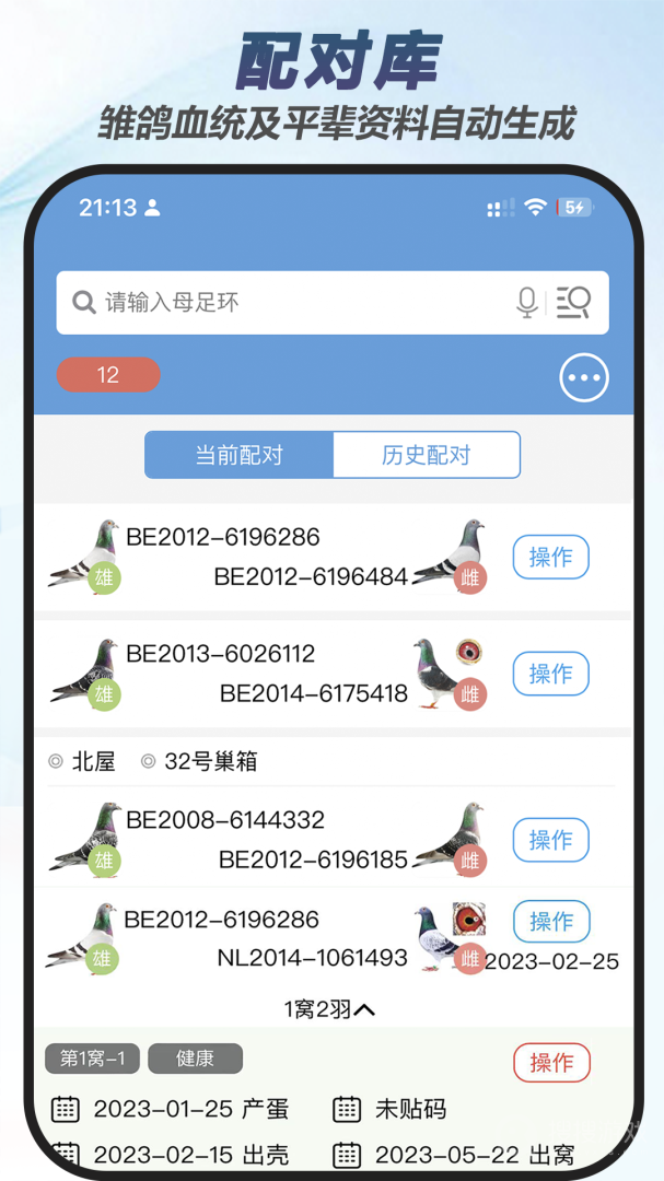 赛鸽云app9.2.6