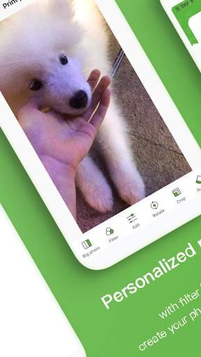 poooli app1.0.3