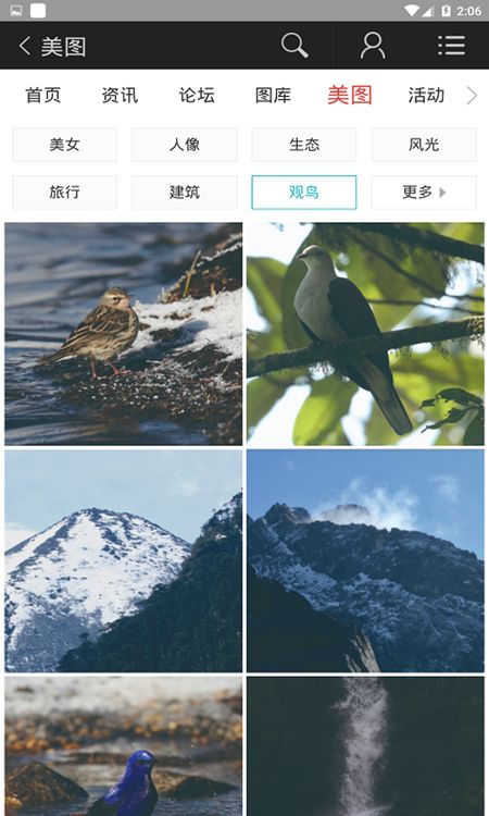 图啥app99999