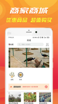 休闲合肥app官方1.0.1