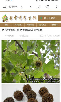 古中药养生网软件6.6