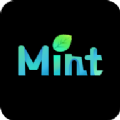 MintAI软件