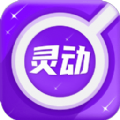 灵动放大镜软件