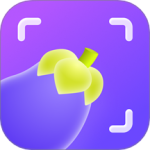 茄子水印相机app