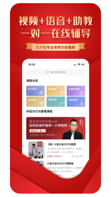 犬道app127