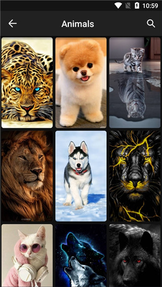 Zedge 和谐版6.0.8